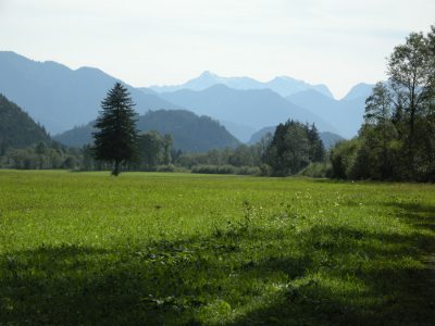 Foto: blaue Berge im Allgäu