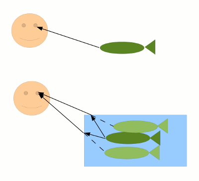 Grafik: Strahlenverlauf im Fischbecken