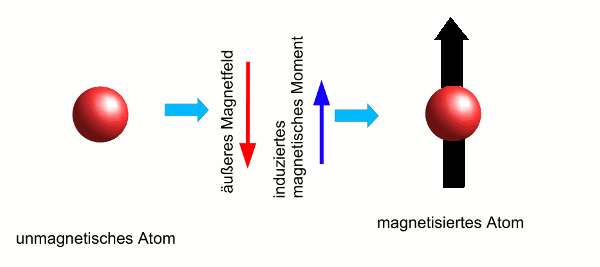 Grafik: Induktion eines magnetischen Moments in einem diamagnetischen Atom 
