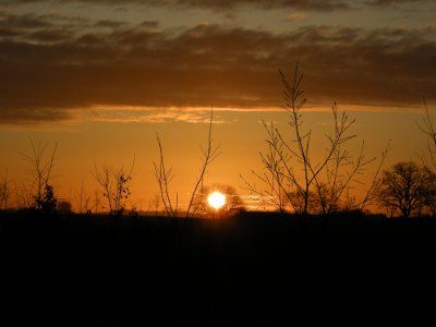 Foto: Sonnenaufgang über Mönchhagen