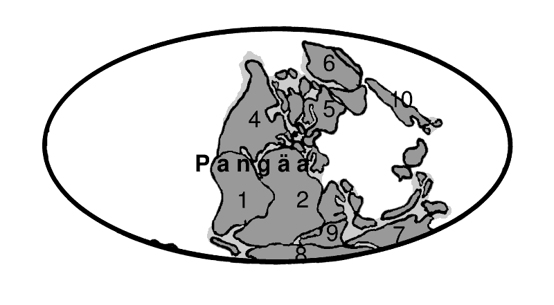 Verteilung der Kontinente im Perm