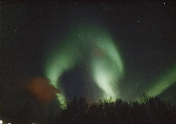 Foto eines grünen Polarlichtes