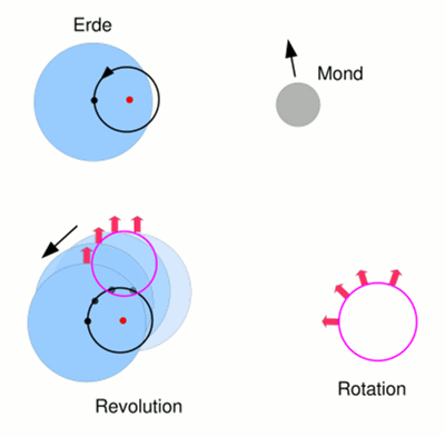 Grafik zu Revolution und Rotation