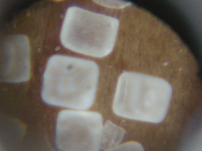 Foto: Salz unter dem Mikroskop