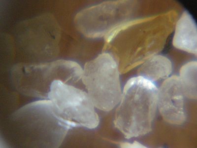 Foto: Sand unter dem Mikroskop