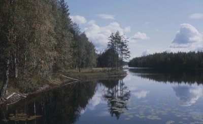 Foto: Spiegelung in einem See in Schweden