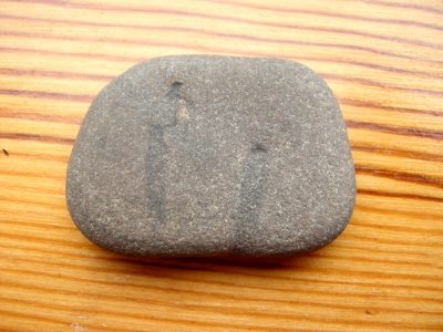 Foto: Sandstein mit Spurenfossil