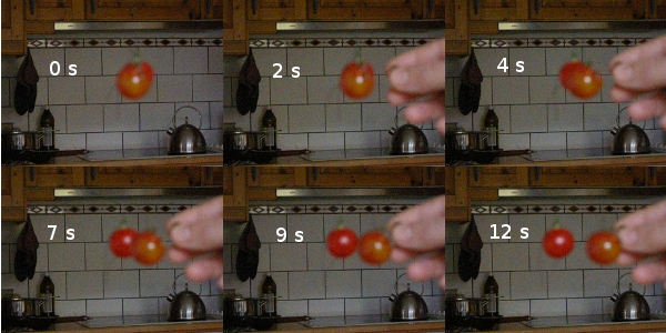 Foto: Experiment mit Tomaten im Magnetfeld