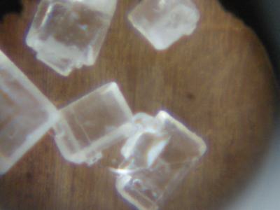 Foto: Zucker unter dem Mikroskop