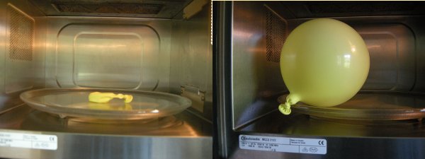 Foto: Verdampfung von Wasser in einem Luftballon in der Mikrowelle